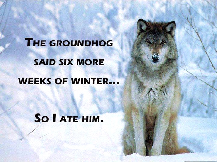 groundhog day idiom groundhog consequences arnold zwicky s groundhog day idiom groundhog consequences arnold zwicky s